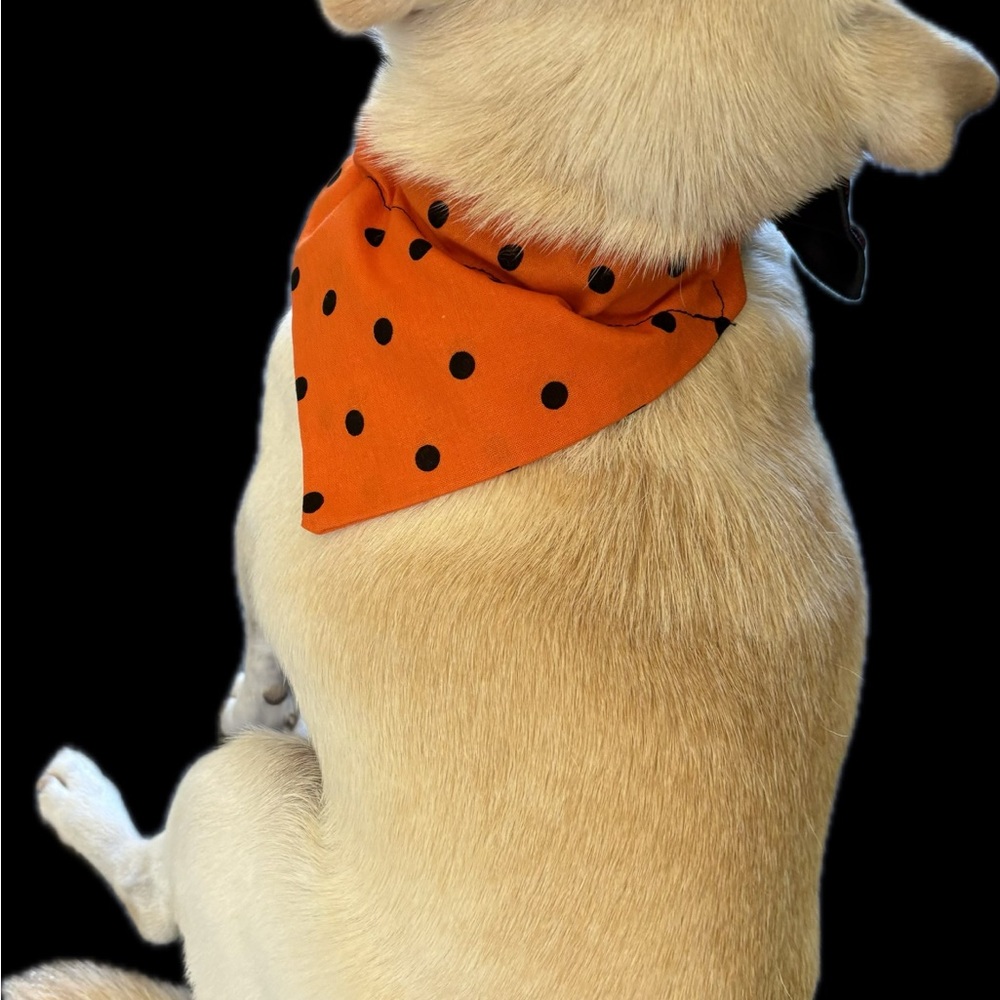 Orange Polka Dot Dog Bandana